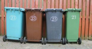 Tipps für die optimale Mülltrennung